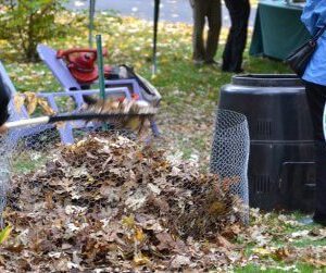 Leaf composting - Leaf management