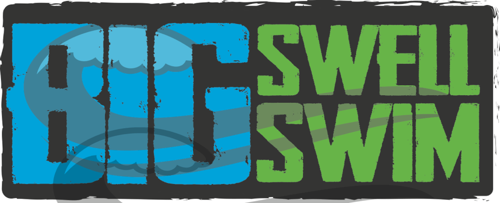 Big Swell Swim Madison Logo