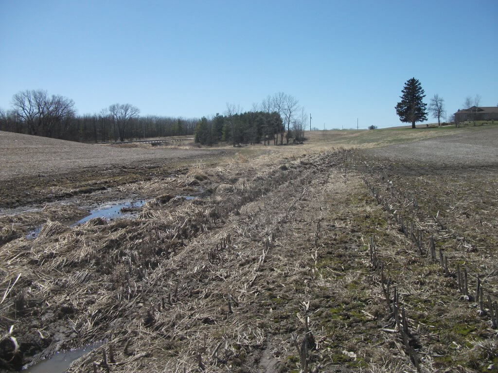 One location likely to receive buffer strips in 2019
